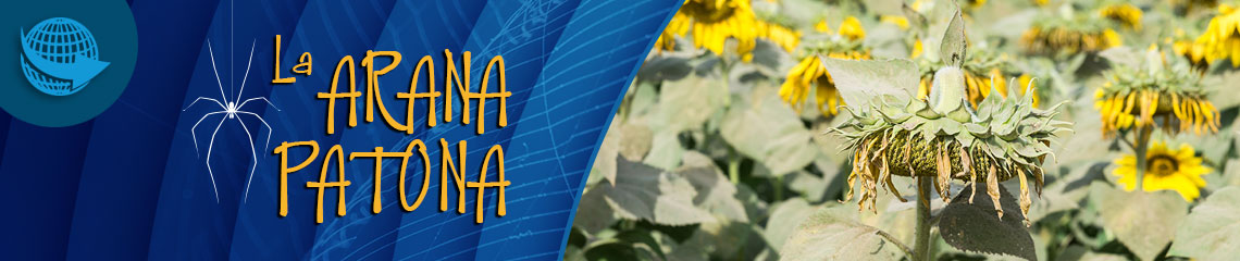 La araña patona 46 - El estrés en las plantas por falta de agua