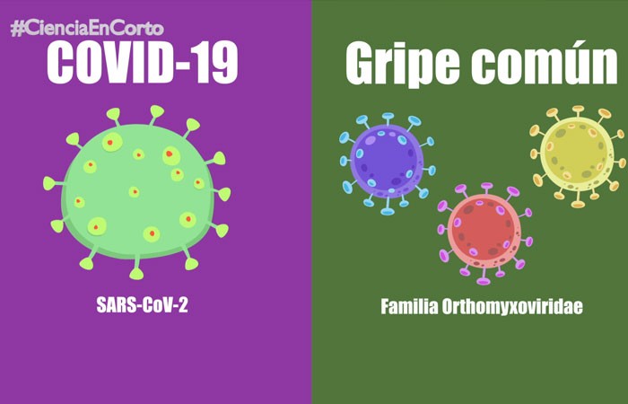 Diferencias entre Covid-19 y gripe común